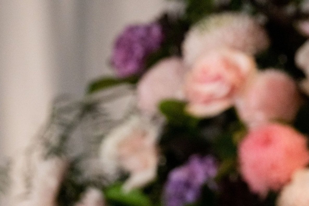 Soft-focus still of pink and lilac flowers.